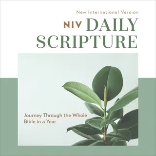 Daily Scripture Audio Bible - New International Version, NIV