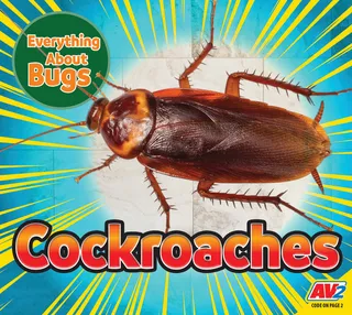 Cockroaches