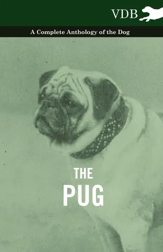 The Pug