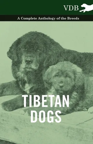 Tibetan Dogs