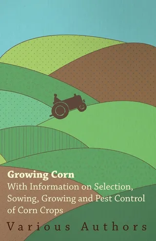 Growing Corn