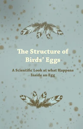 The Structure of Birds' Eggs