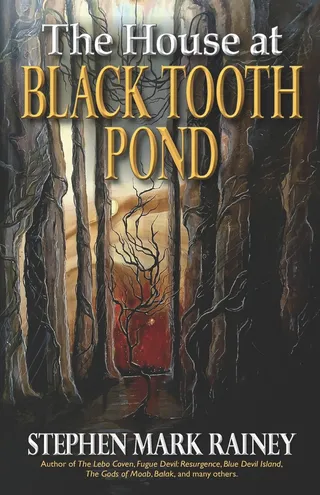The House at Black Tooth Pond