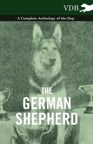 The German Shepherd