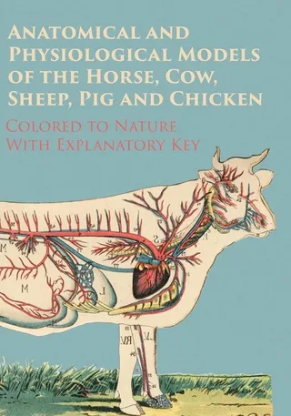 Anatomical and Physiological Models of the Horse, Cow, Sheep, Pig and Chicken