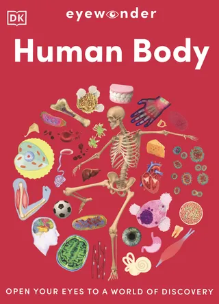 Human Body: Eyewonder