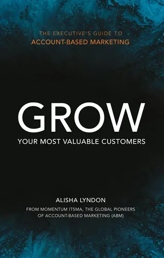 Executive's Guide to Account-Based Marketing
