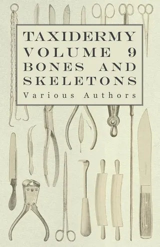 Taxidermy Vol. 9 Bones and Skeletons