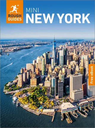 Rough Guides Mini New York