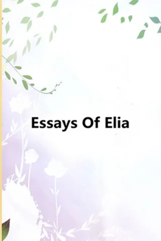 Essays