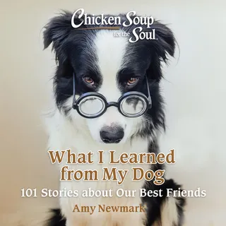 What I Learned from My Dog