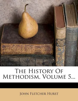 The History Of Methodism, Volume 5...