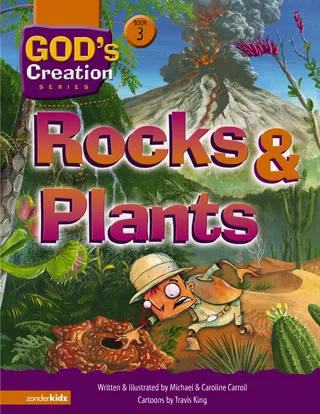 Rocks and Plants