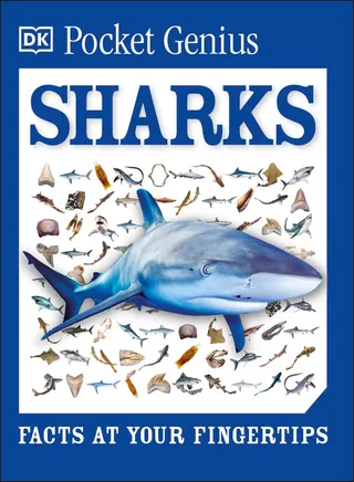 Pocket Genius: Sharks