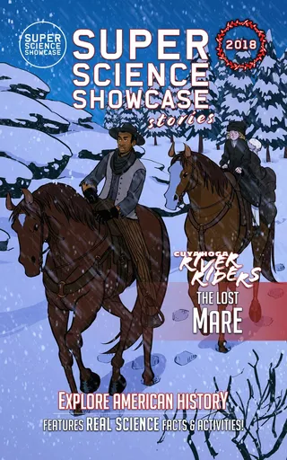 Lost Mare