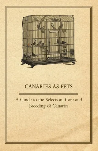 Canaries as Pets Guide