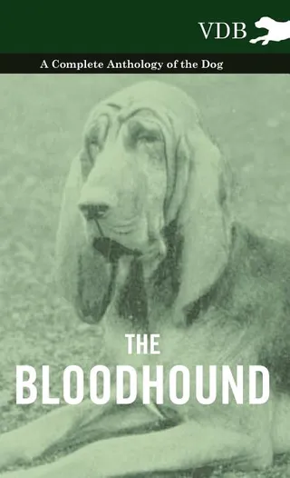 The Bloodhound - A Dog Anthology (A Vintage Dog Books Breed Classic)