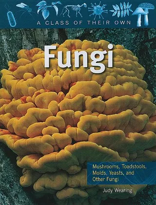 Fungi
