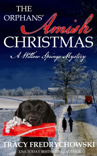 Orphans' Amish Christmas