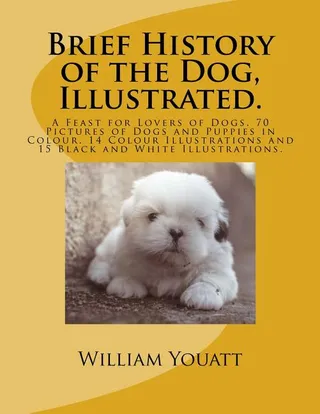 Brief History of the Dog