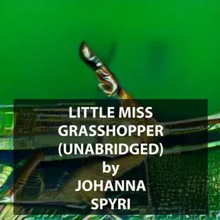 Little Miss Grasshopper