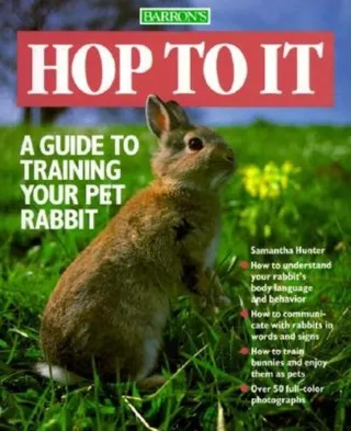 Hop to It