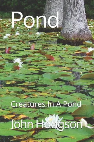 Pond