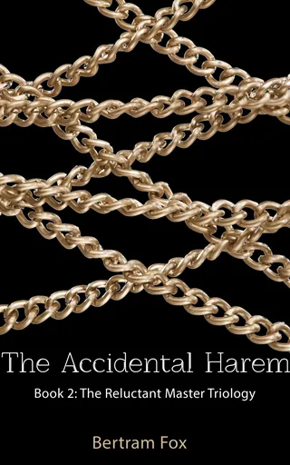 The Accidental Harem