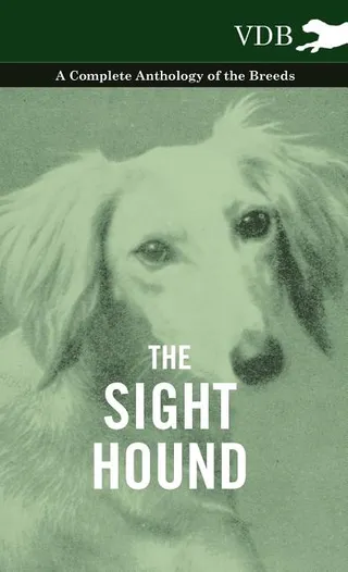 The Sight Hound