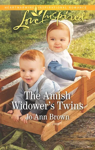 Amish Widower's Twins