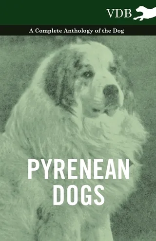 Pyrenean Dogs