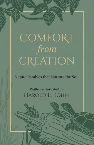 Comfort from Creation