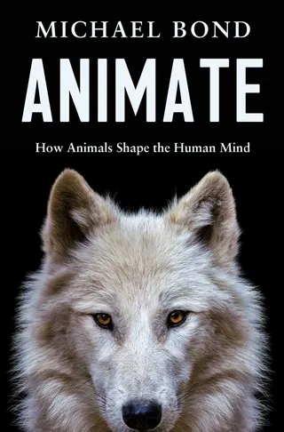 Animate