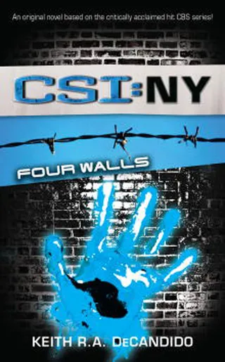 CSI NY