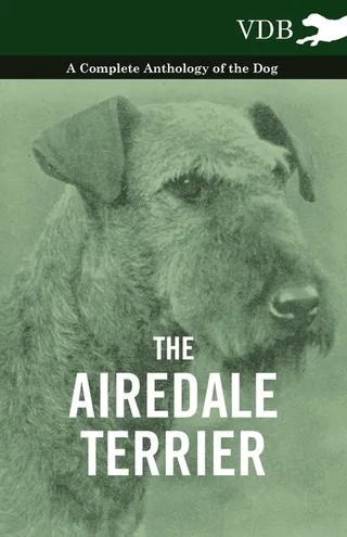 The Airedale Terrier