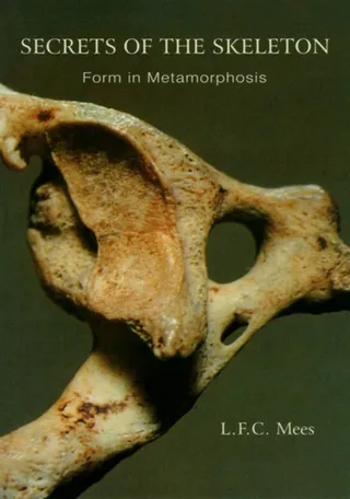 Secrets of the Skeleton