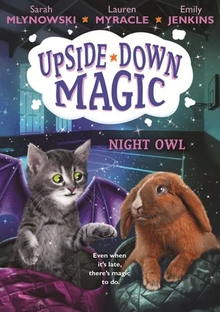 Night Owl