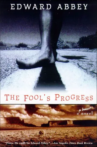 Fool's Progress
