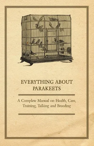 Everything about Parakeets
