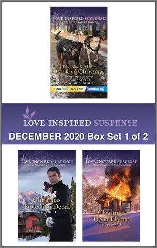 Harlequin Love Inspired Suspense December 2020 Box Set 1 of 2