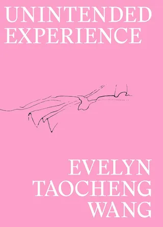 Evelyn Taocheng Wang: Unintended Experience
