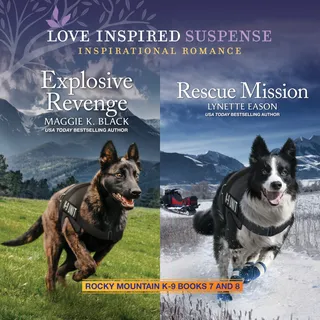 Explosive Revenge and Rescue Mission