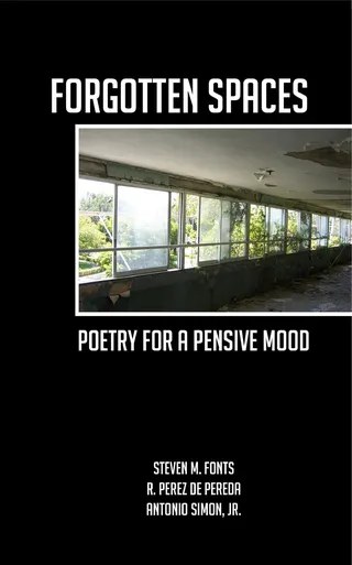 Forgotten Spaces
