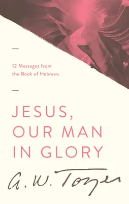 Jesus Our Man in Glory