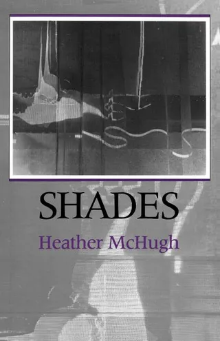 Shades Shades Shades Shades Shades
