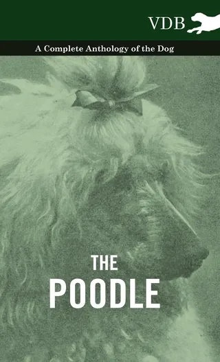 The Poodle
