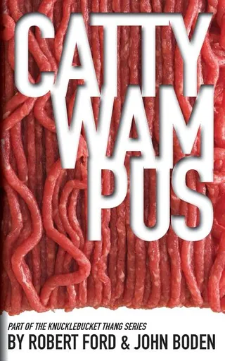 Cattywampus
