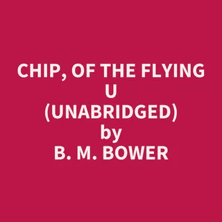 Chip