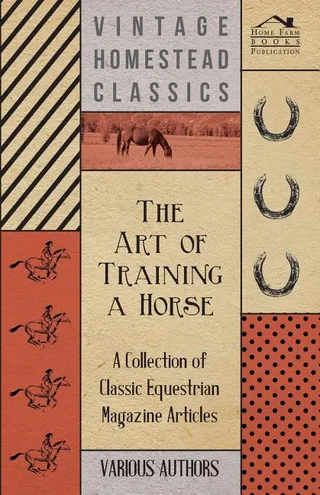 The Art of Training a Horse