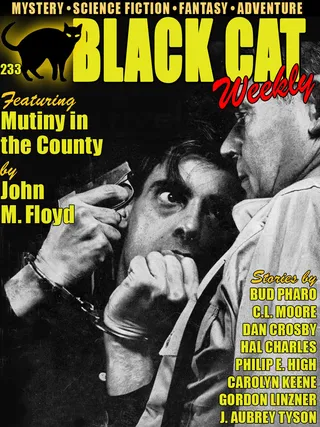 Black Cat Weekly